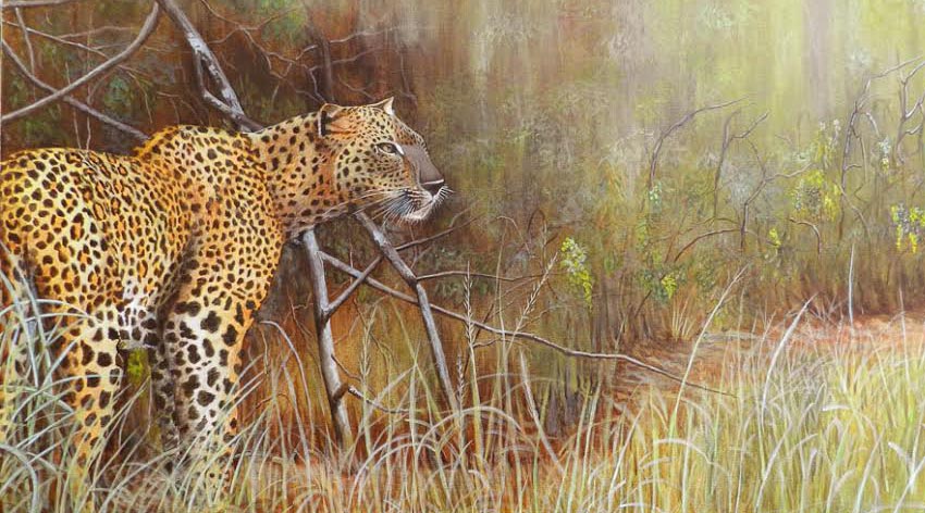 Leopard- Tharanga Herath